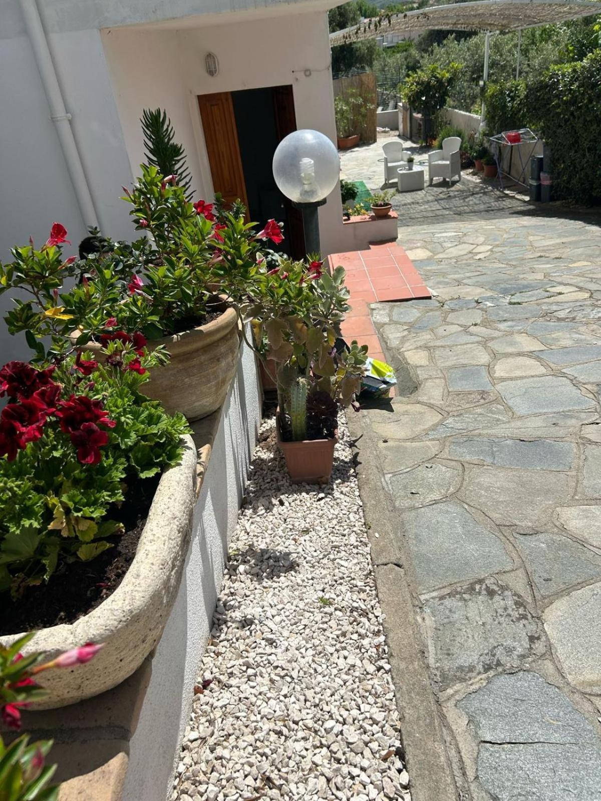 Istella Bed & Breakfast Posada  Bagian luar foto